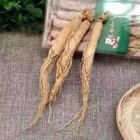 東北特產(chǎn)生曬參 長(zhǎng)白山人參 生曬白參 干人參 產(chǎn)地直發(fā) 批量銷售