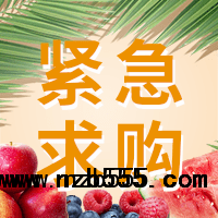 采購(gòu)紫皮蒜