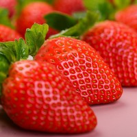 云南茜婭陽光草莓現摘現發(fā)新鮮當季水果大草莓新年年貨禮盒裝大果