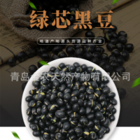 廠家直供黑皮綠仁烘炒黑豆-量大質(zhì)優(yōu)，出口品質(zhì)