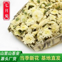 22年新花山里山安徽黃山貢菊散裝菊花茶批發(fā)產地貨源500克白菊花