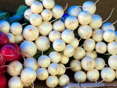 種植白蘿卜如何進(jìn)行土肥管理，管理要點(diǎn)都有哪些？