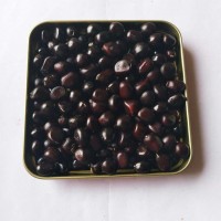 批發(fā)榨油牡丹種子優(yōu)質(zhì)鳳丹籽油料牡丹籽牡丹種子價格油用牡丹種子