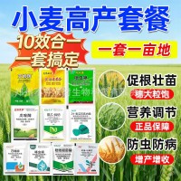 小麥增產(chǎn)套餐一噴三防殺蟲殺菌防病增產(chǎn)白粉病赤霉病蚜蟲紅蜘蛛