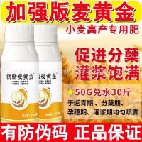 麥黃金水溶肥小麥高產(chǎn)專用肥葉面肥小麥增產(chǎn)麥黃金分蘗寶套餐正品