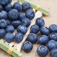 云南怡顆莓紅土藍莓L25脆甜玫瑰花香藍莓愛莓莊迷迭藍皇冠大藍莓