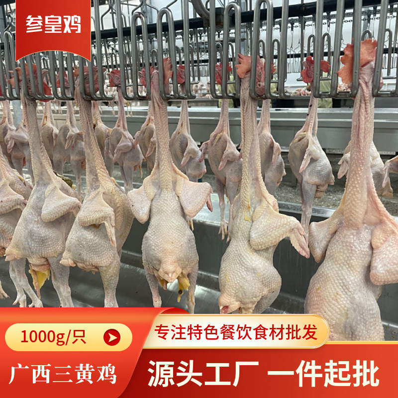 O1CN01JQ3MsS1qyMZpyJ2Ff_!!2215101875564-0-cib