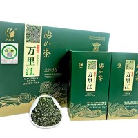 2025年青島特產嶗山綠茶萬里江江雪二星新茶250克禮盒裝綠茶